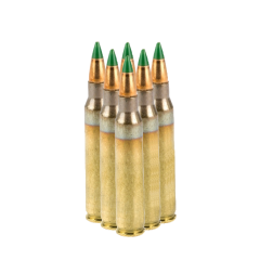 LAX 5.56 M855 62 gr Full Metal Jacket (FMJ) New LAKE CITY 50ct    ($4.99 Shipping on orders $200-$2000!)