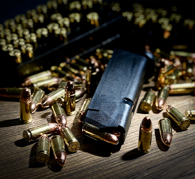 Trusted Bullets